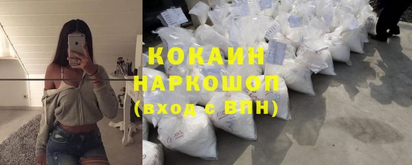 apvp Богородицк