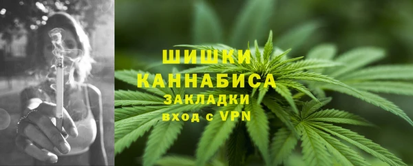 apvp Богородицк