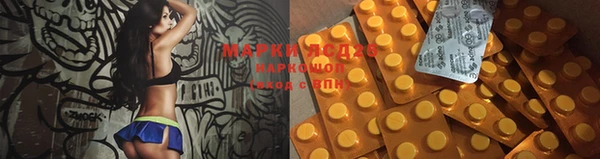 мдпв Верея