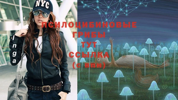 дживик Бородино