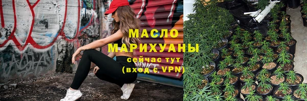 дживик Бородино
