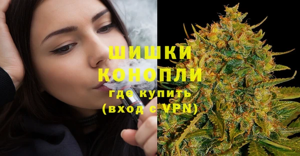 apvp Богородицк