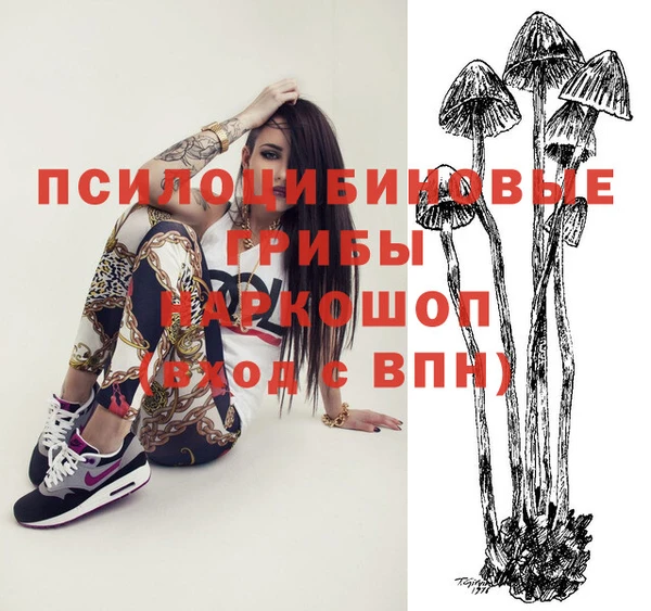 стафф Богданович